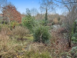 Photo 7- click for photo gallery